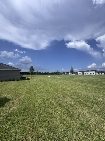 Expansive green lawns and spacious lots in Holstein Crossing: Holstein Crossing 50s by Lennar (Green Cove Springs, FL).
