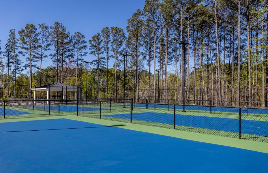 Tennis/Pickle Ball Courts