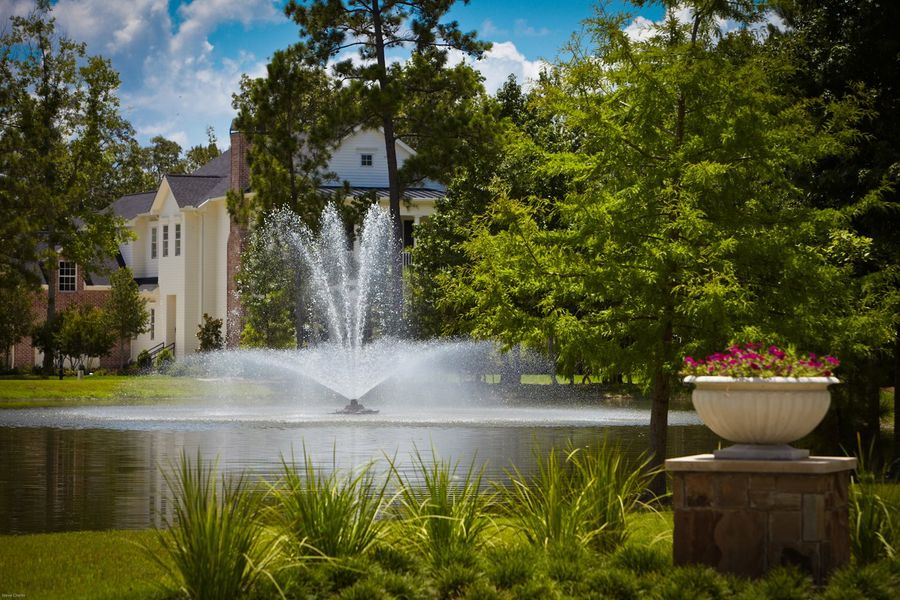 Image 10 of the Woodforest 60s community in Montgomery, TX. Image 10 of the Woodforest 60s community in Montgomery, TX.
