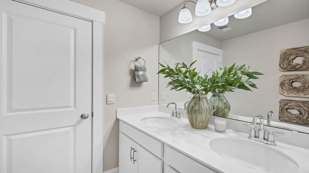 Image 58 of the Livingston Woods community in Irmo, SC. Image 58 of the Livingston Woods community in Irmo, SC.