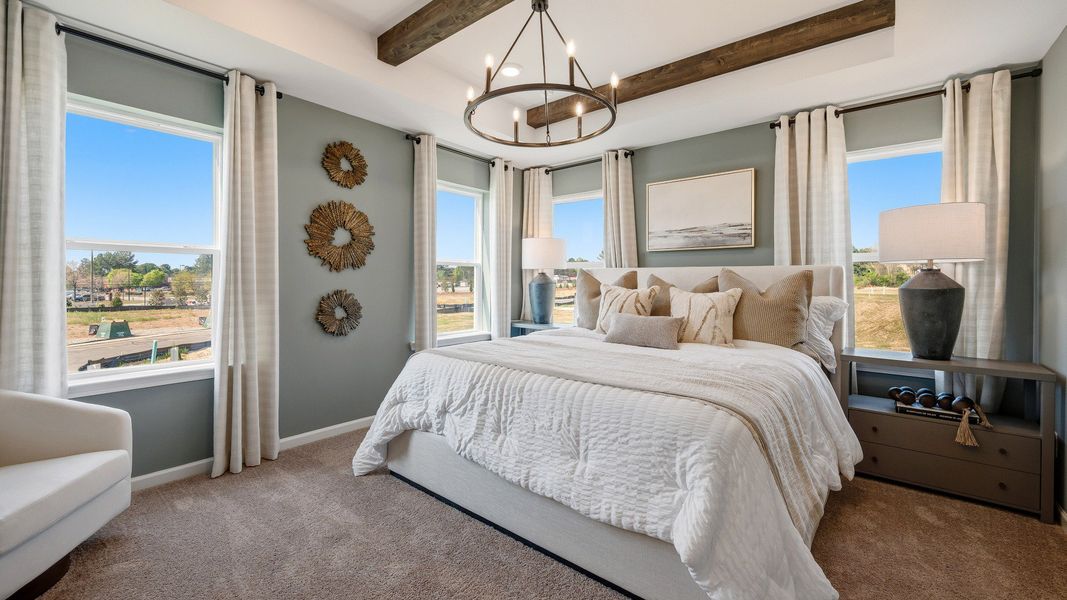 Primary bedroom with tray ceiling, accent ceiling, carpet, and windows
