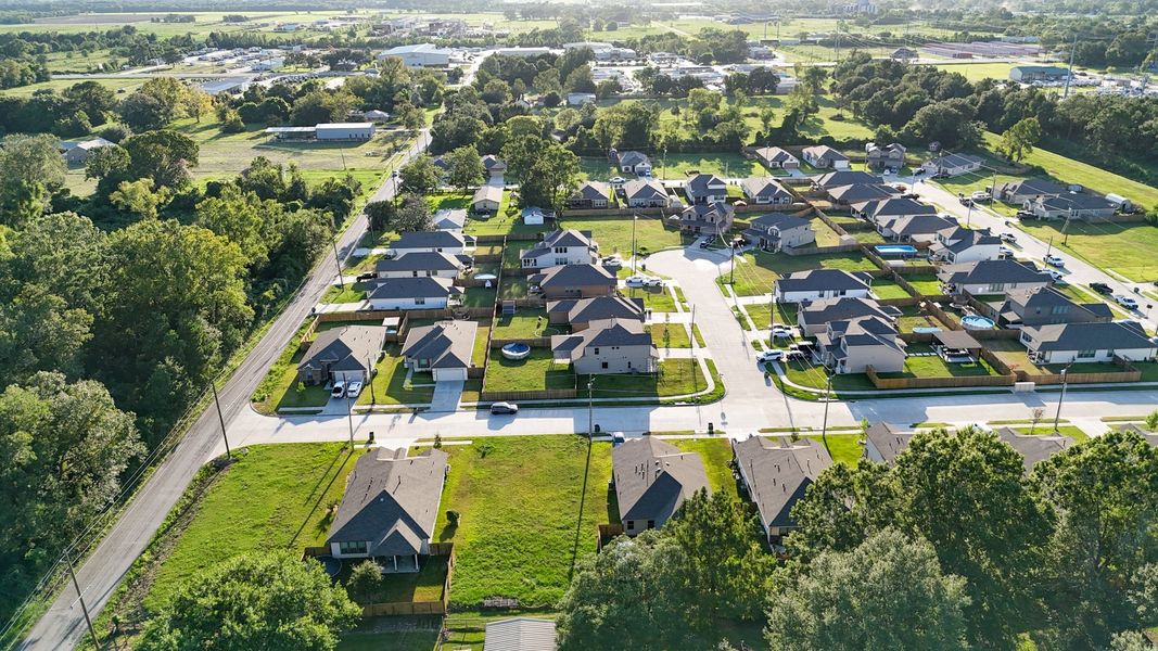 Pecan Orchard Aerial