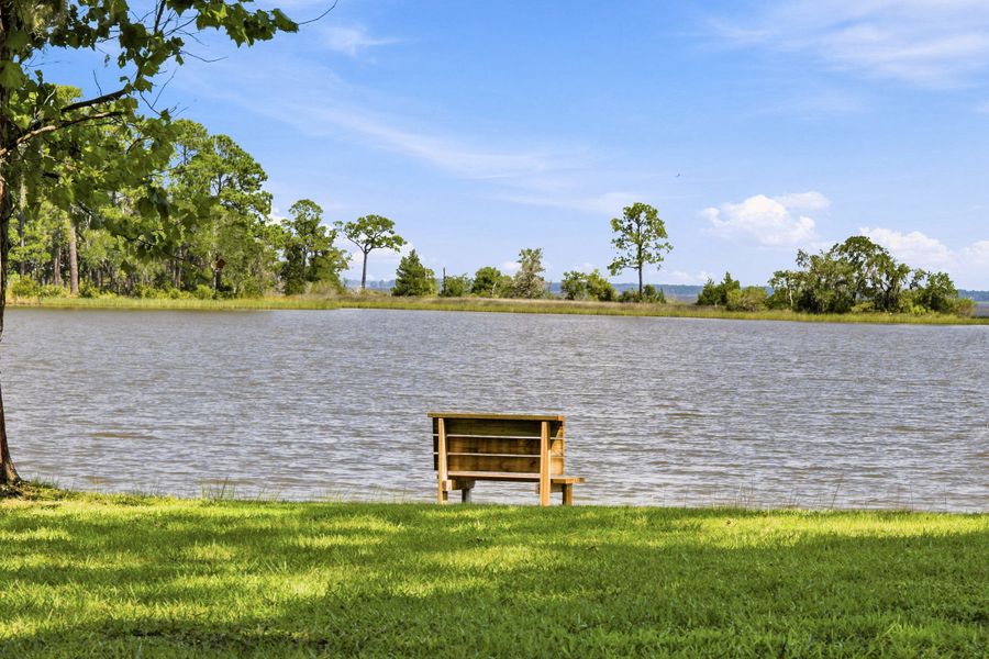 Natural surroundings and green spaces near The Dunes at Sandbar in Santa Rosa Beach, FL (Image 29).