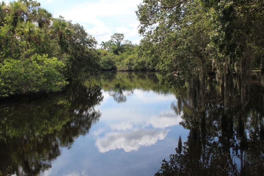 Halpatiokee Regional Park - Waterways