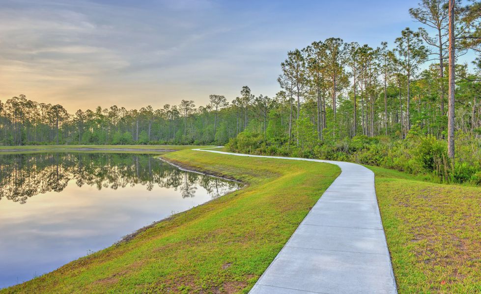 Natural surroundings and green spaces near Woodhaven in Port Orange, FL (Image 46). Natural surroundings and green spaces near Woodhaven in Port Orange, FL (Image 46).