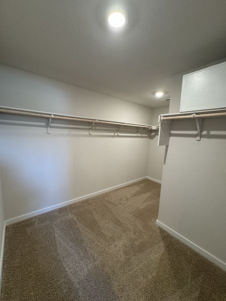 A spacious walk-in closet featuring plush carpet and ample shelving for organized storage.