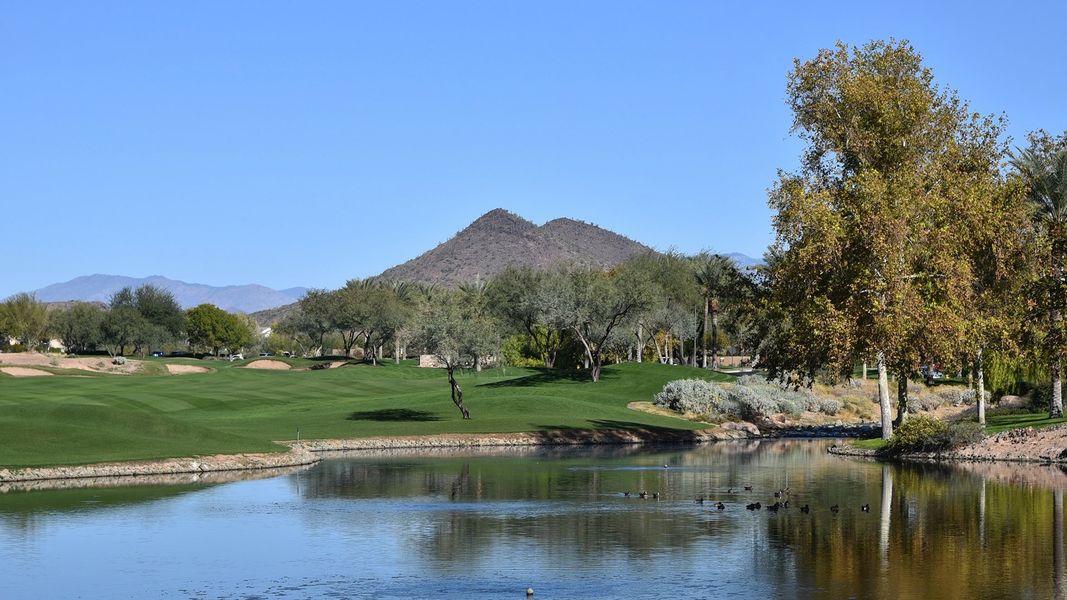 Pic Golf