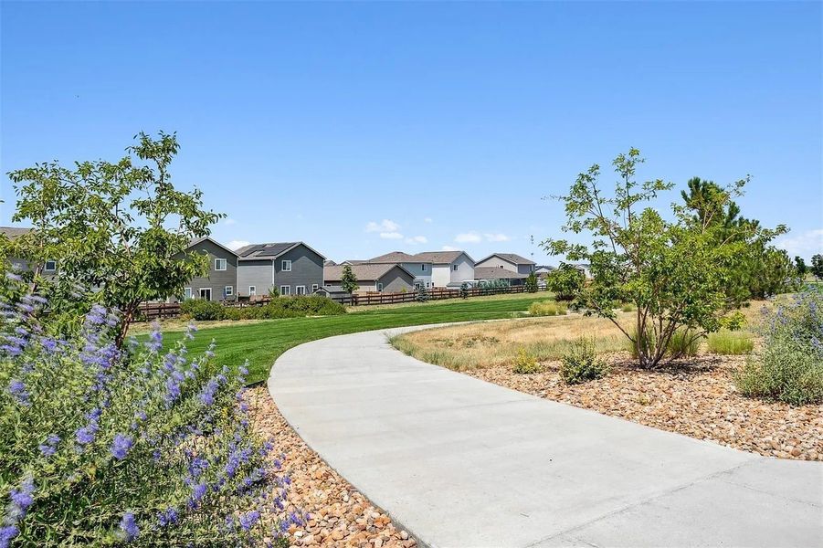 Hidden Creek New Homes in Frederick, CO. - Slide 54 Hidden Creek New Homes in Frederick, CO. - Slide 54