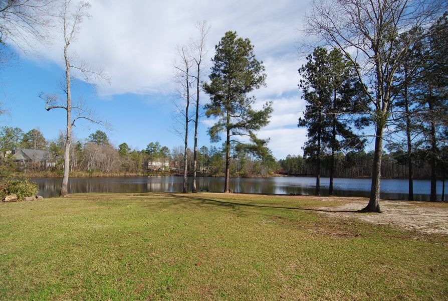 Natural surroundings and green spaces near Willow Lake in Blythewood, SC (Image 35).