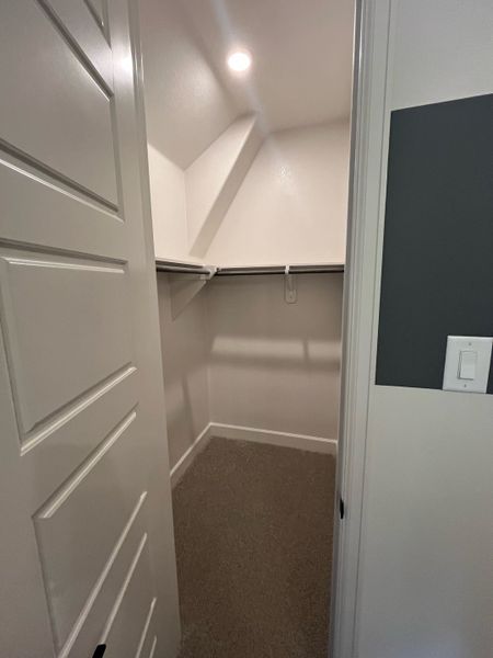 A cozy walk-in closet with modern shelving and soft carpeting, bathed in natural light.