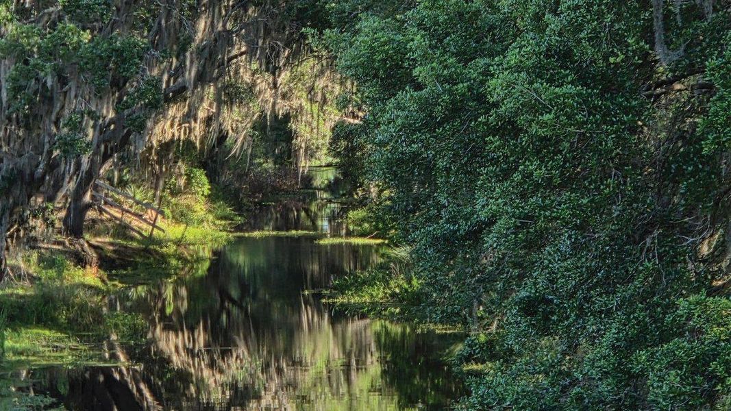 Natural surroundings and green spaces near Atria at Ridgewood Lakes in Davenport, FL (Image 12).