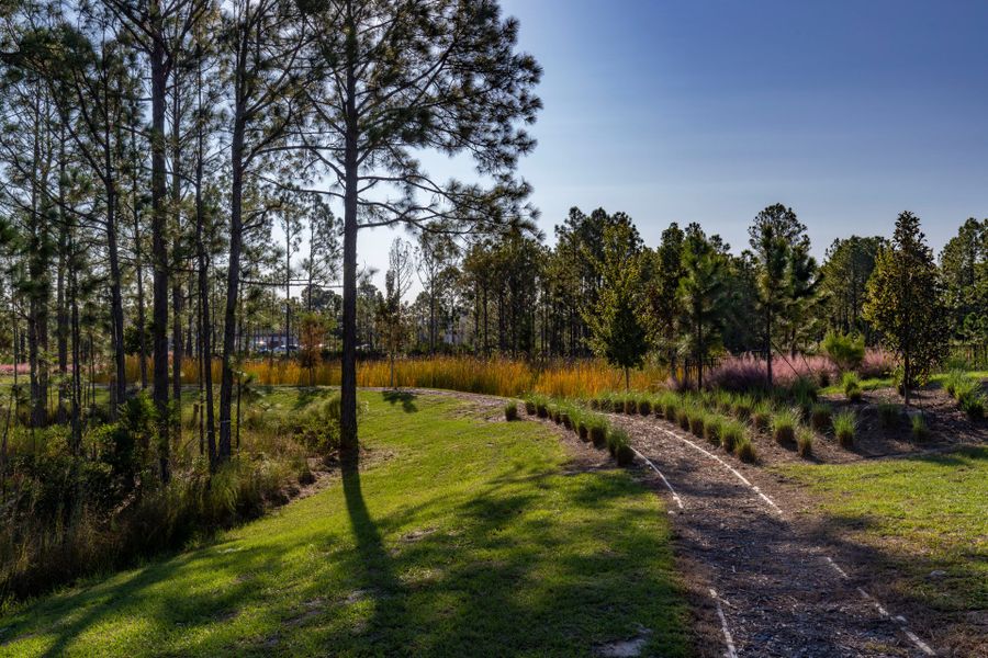 Trinity Gardens in DeLand, FL – New Home Community Surrounded by Nature Trinity Gardens in DeLand, FL – New Home Community Surrounded by Nature