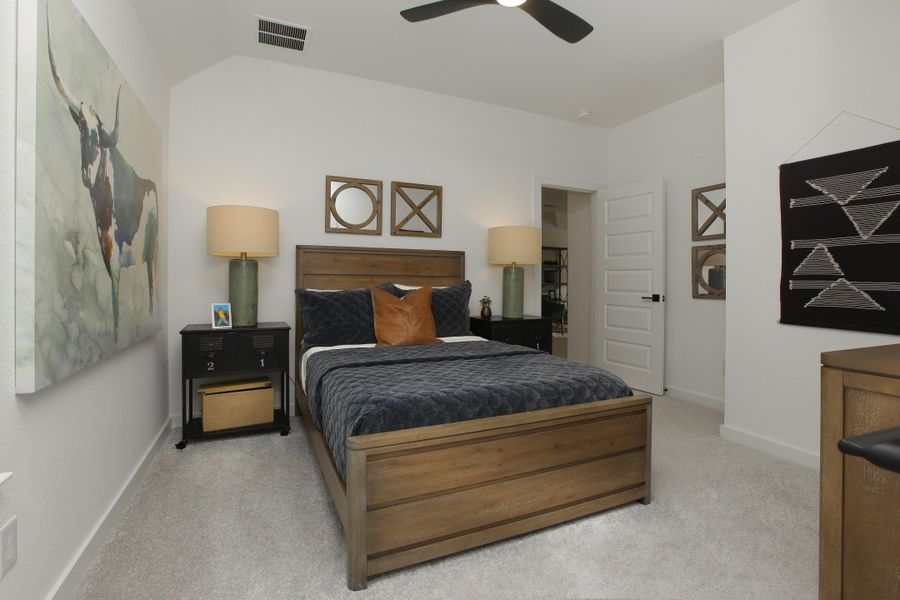 Image 14 of the South Pointe 65' community in Mansfield, TX.