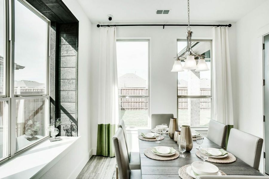 Image 11 of the Arrowbrooke 60s community in Aubrey, TX.