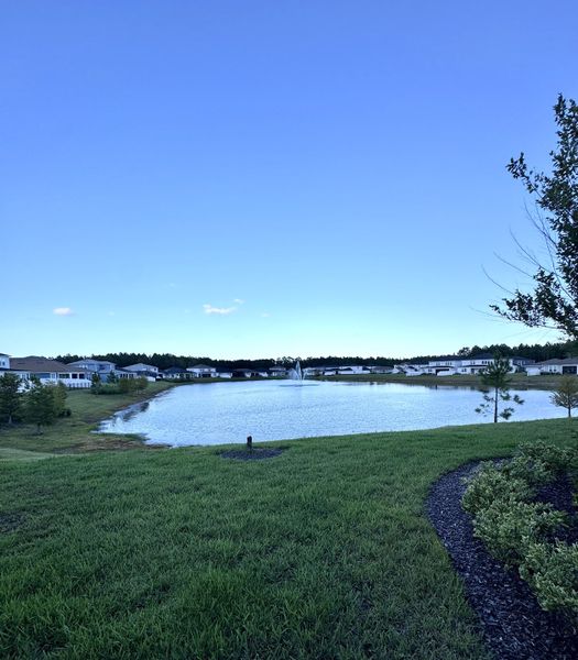 Serene lakeside view in Double Branch by Pulte Homes, showcasing tranquil water features and lush surroundings (Middleburg, FL).