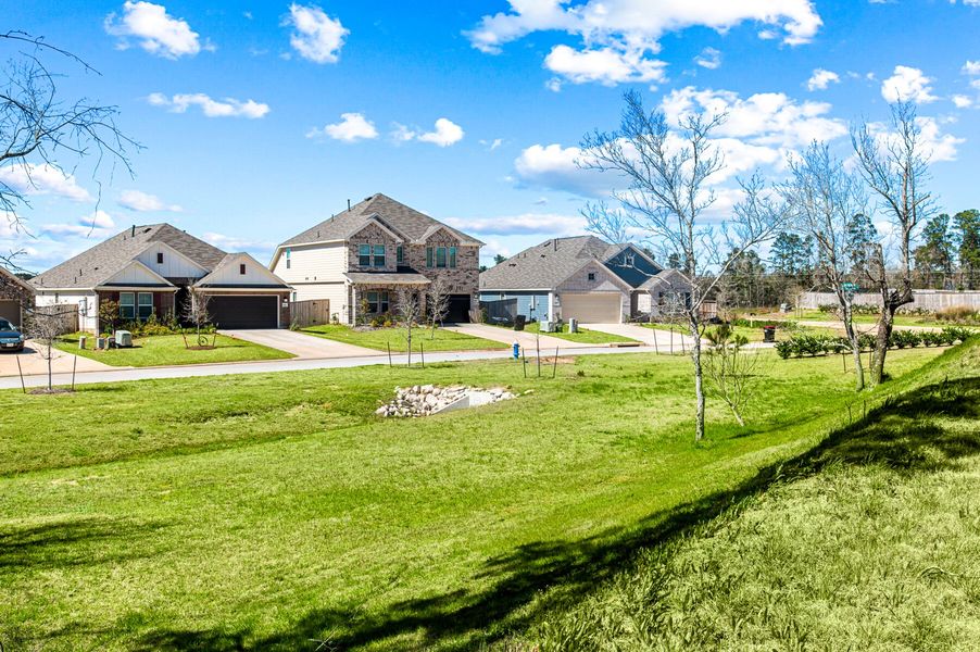 Streetscape Streetscape