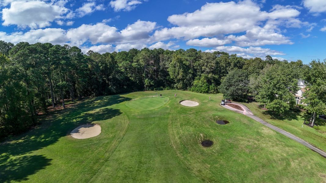 Golf course greens landscape Golf course greens landscape