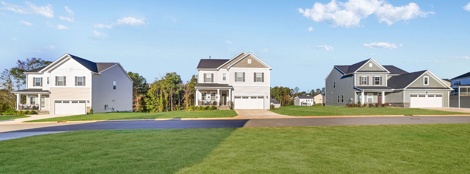 Annandale Summit Streetscape Annandale Summit Streetscape