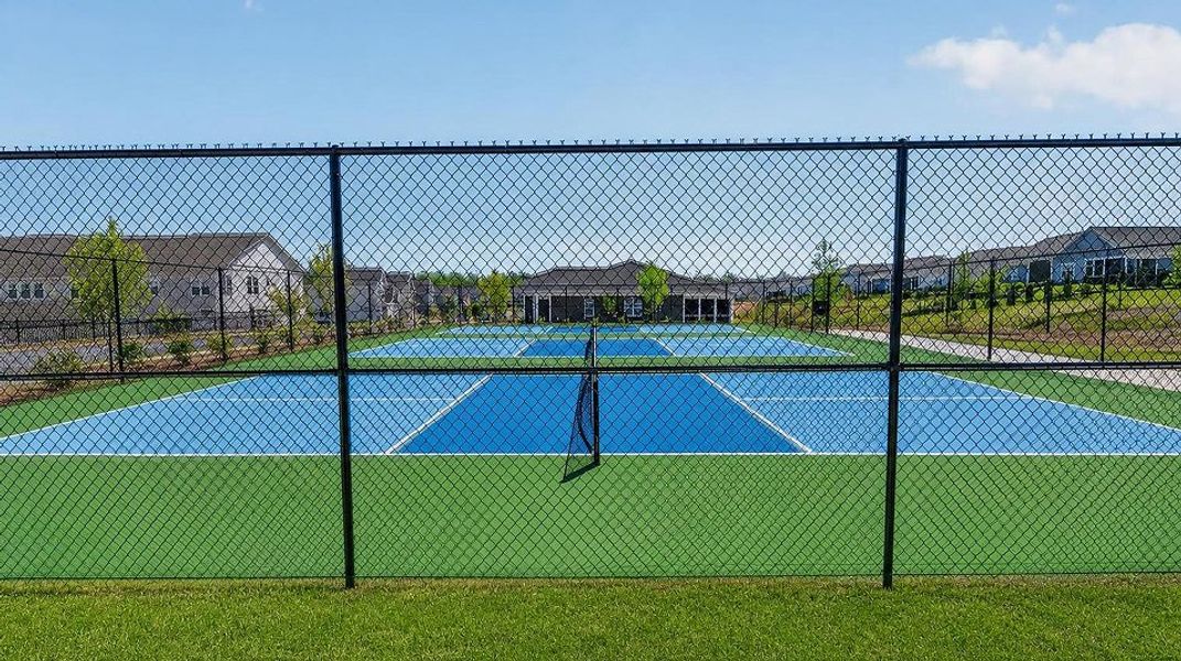 Elizabeth Amenity Pickleball 2of2