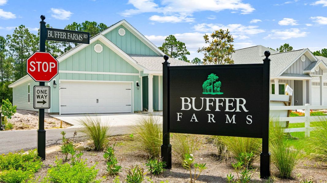 Image 25 of the Buffer Farms community in Port Saint Joe, FL.