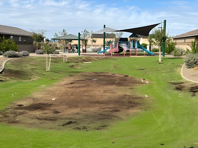A vibrant park with a playground and shade sails in Hurley Ranch - Estate Series by Meritage Homes (Tolleson, AZ). A vibrant park with a playground and shade sails in Hurley Ranch - Estate Series by Meritage Homes (Tolleson, AZ).