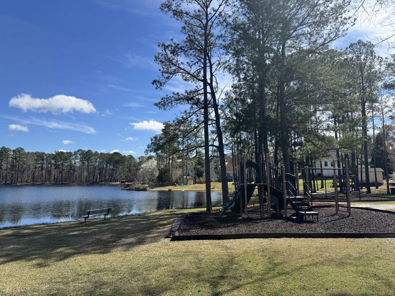 Natural surroundings and green spaces near Willow Lake in Blythewood, SC (Image 36).
