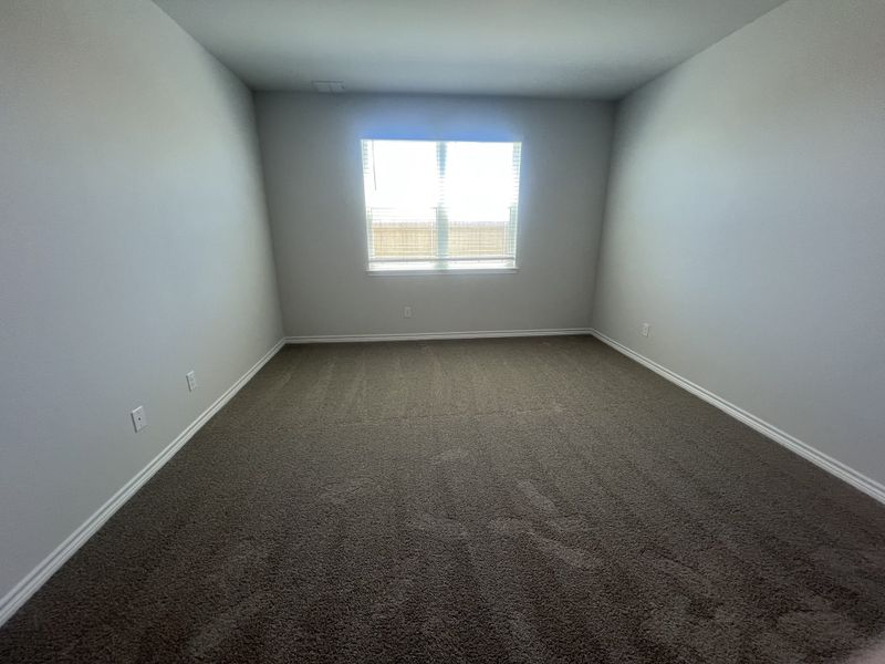 A spacious, neutral-toned room with plush carpet and a bright window, perfect for customization.