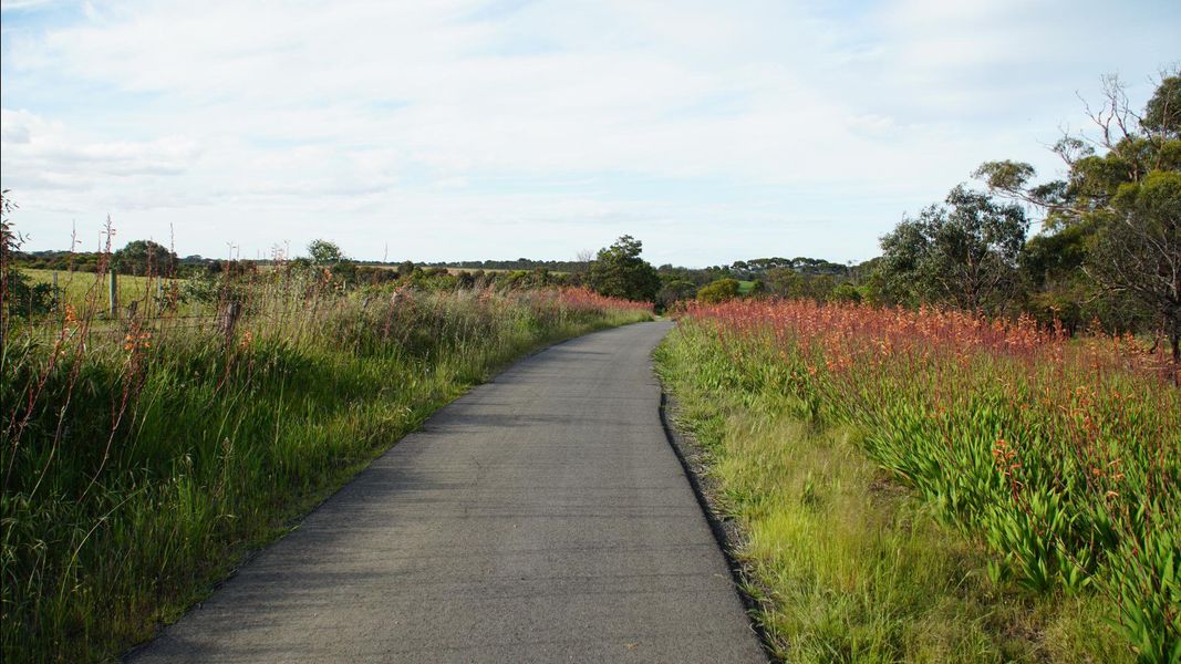 Scenic walking trails surrounded by beautifully landscaped community grounds