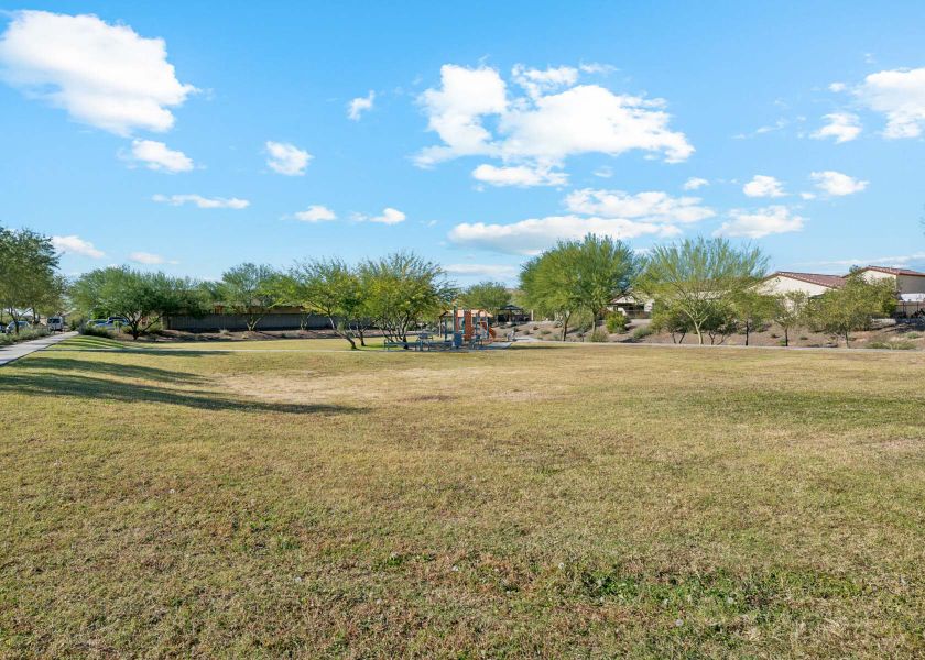 A large grassy field with trees and buildings in the background. A large grassy field with trees and buildings in the background.