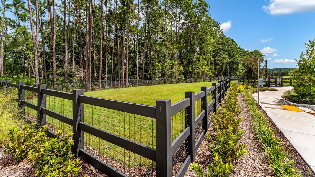 Natural surroundings and green spaces near Saddle Oaks: Saddle Oaks 60s in Jacksonville, FL (Image 35).