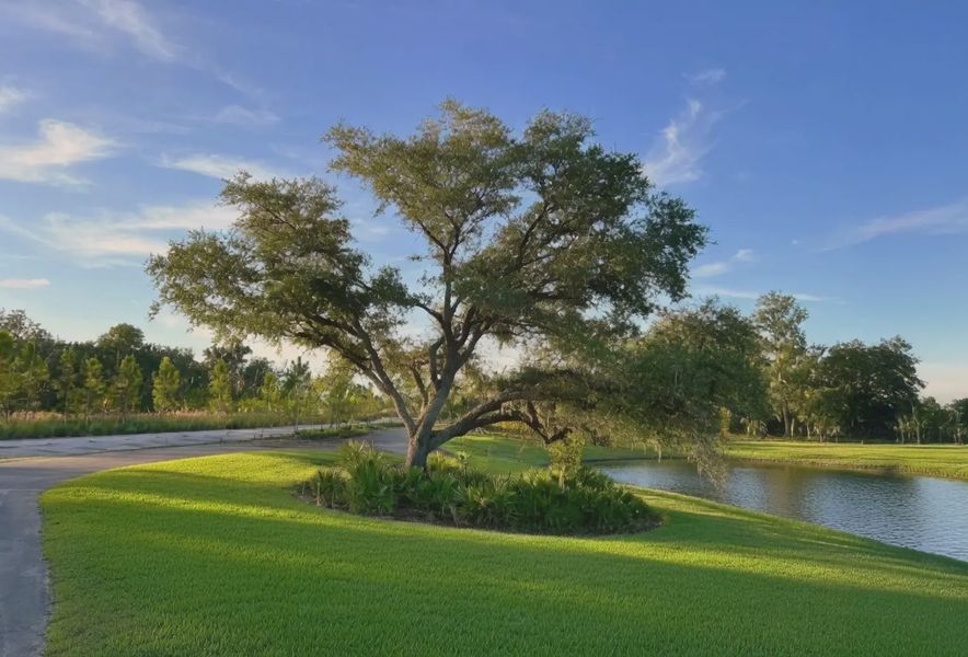 Natural surroundings and green spaces near Rye Ranch in Parrish, FL (Image 24).
