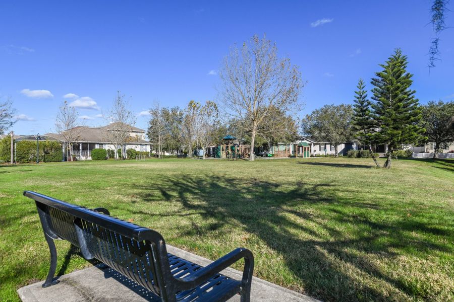 Image 4 of the Hawk Longleaf community in New Port Richey, FL.