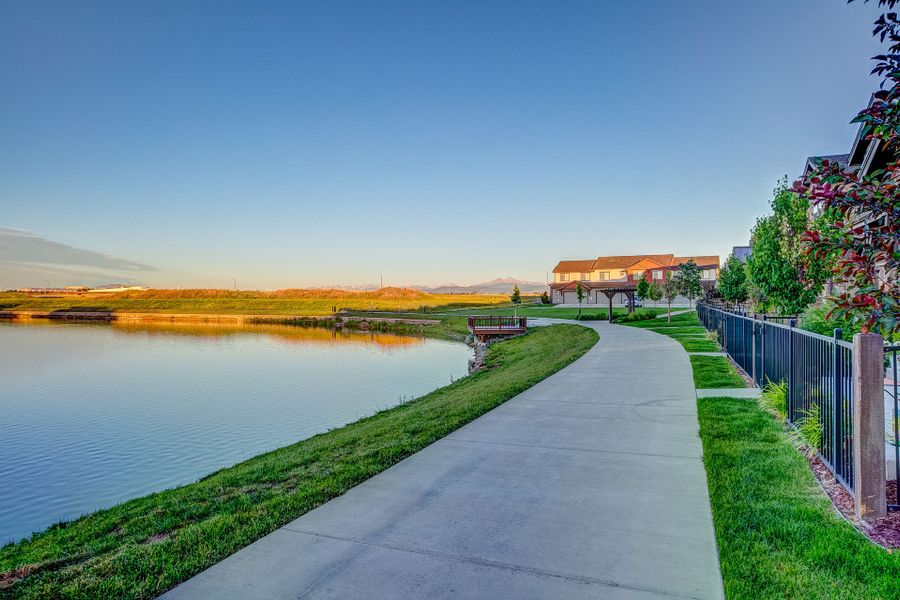 Natural surroundings and green spaces near Vernazza in Windsor, CO (Image 34).