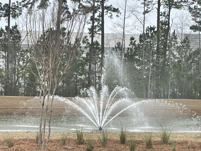 A serene fountain in a landscaped area of Sheep Island by D.R. Horton, Summerville, SC.