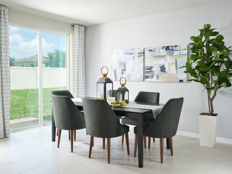 Image 20 of the Lucerne Park Reserve community in Winter Haven, FL.