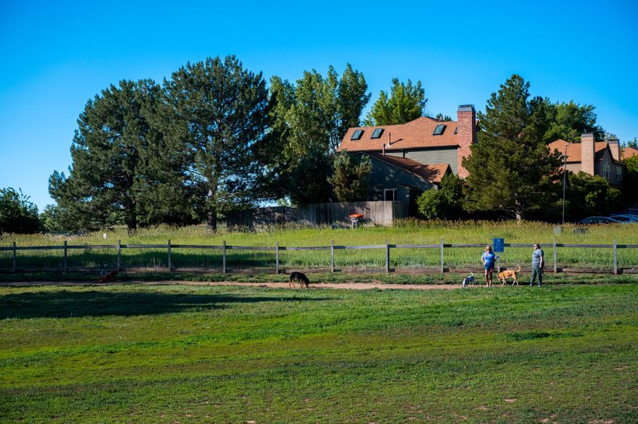 Image 3 of the The Townes Collection at Harvest Crossing community in Aurora, CO.