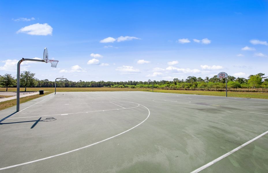 Basketball Court  in new build community located in Cape Coral, Florida offering move in ready homes