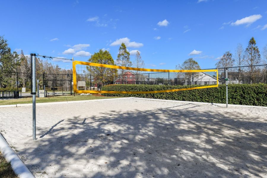 Image 5 of the Hawk Longleaf community in New Port Richey, FL.