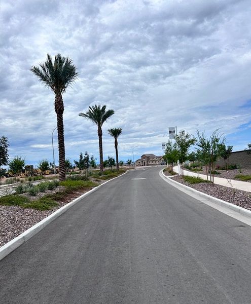A scenic street with palm trees in Ridgeline at Acclaim by Fulton Homes in Avondale, AZ.