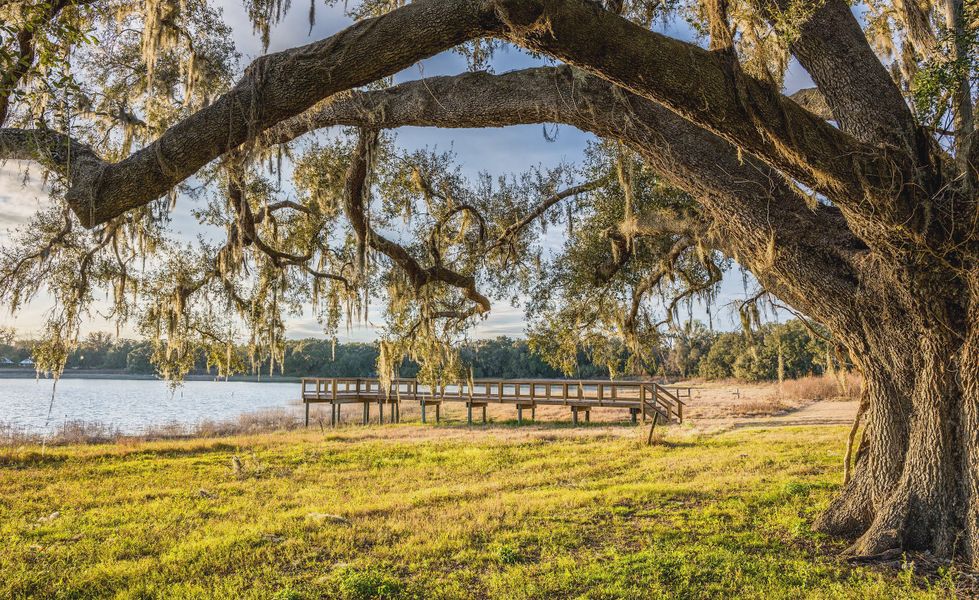 Natural surroundings and green spaces near West Hill Estates in Dade City, FL (Image 22). Natural surroundings and green spaces near West Hill Estates in Dade City, FL (Image 22).