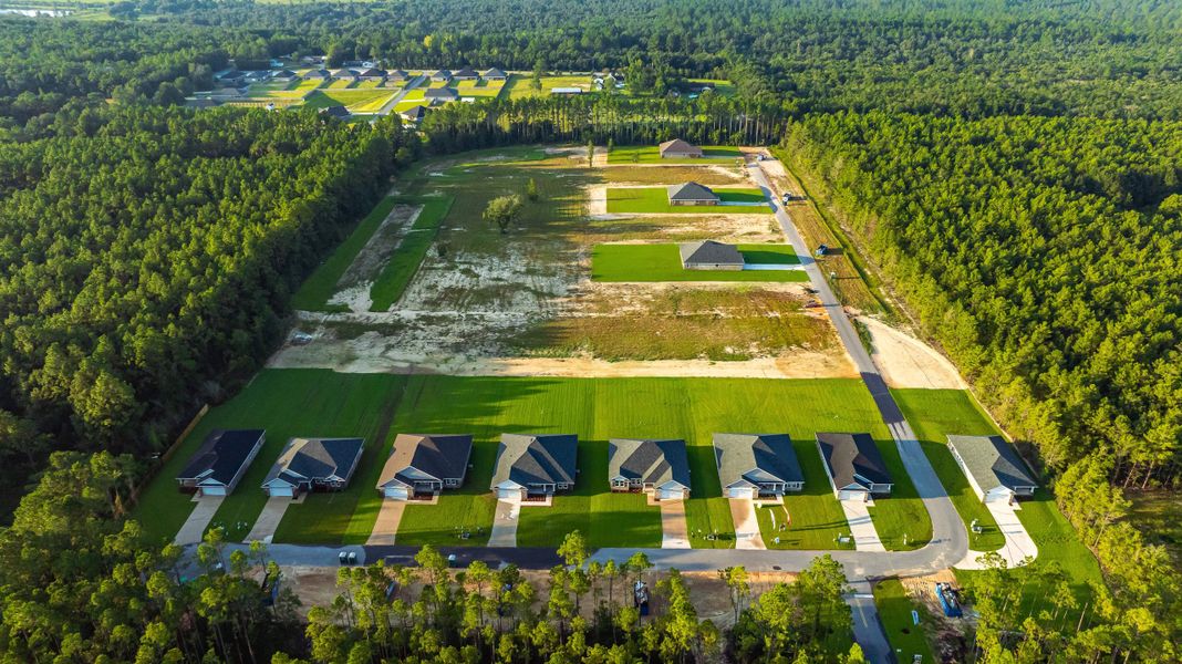 Image 51 of the Clear Water Landing community in Milton, FL.