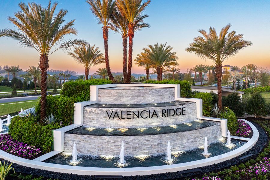 Entrance to the Valencia Ridge (55+) community in Wesley Chapel, FL, featuring signage and landscaping (Image 8).
