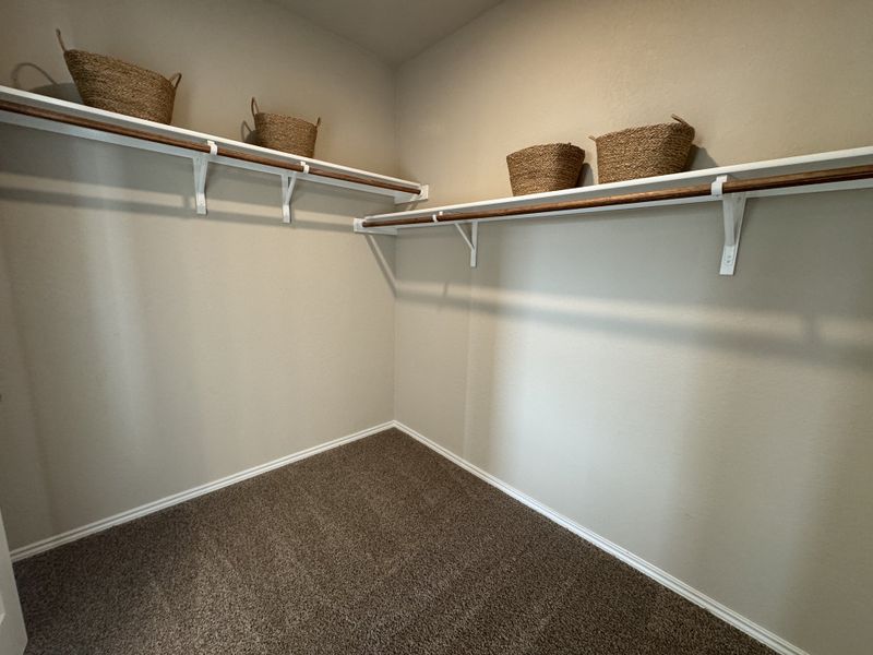 A spacious walk-in closet with white shelves, neutral walls, and carpeted flooring, ideal for organized storage.