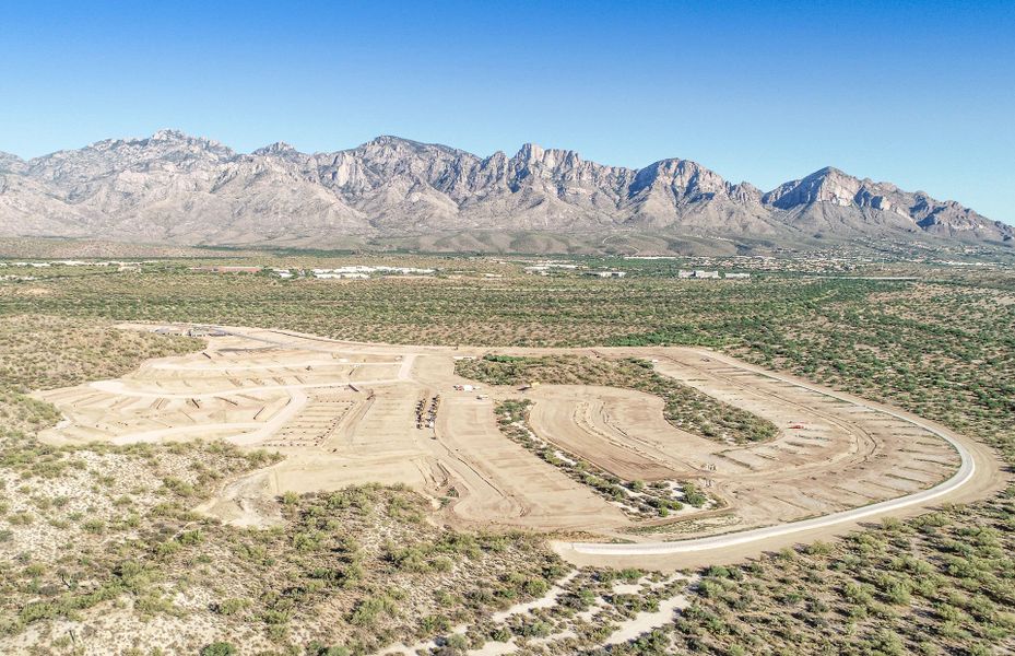 New Construction Homes in AZ