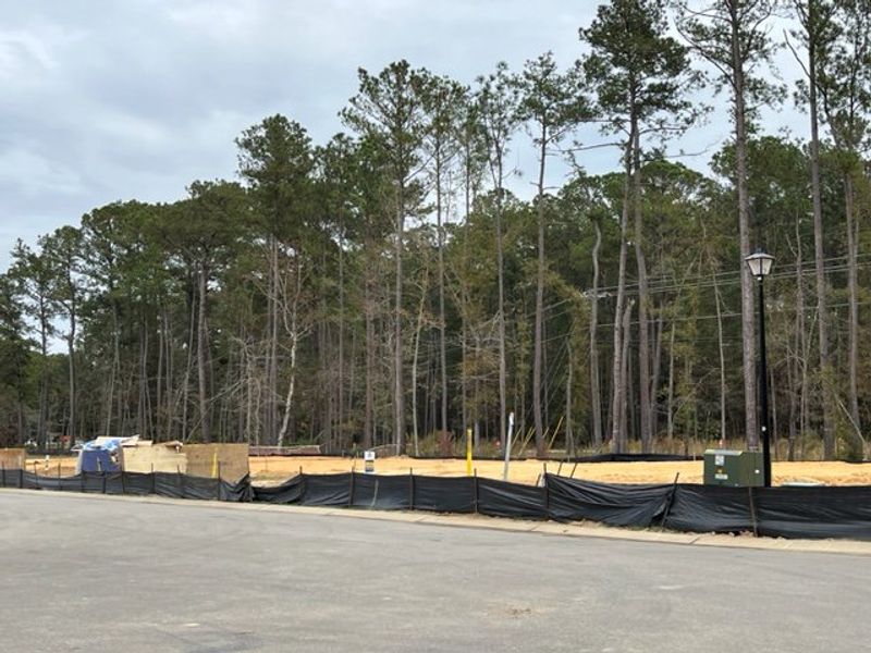 A developing residential lot lined with lush trees in Ashley Cove by Eastwood Homes (Summerville, SC).