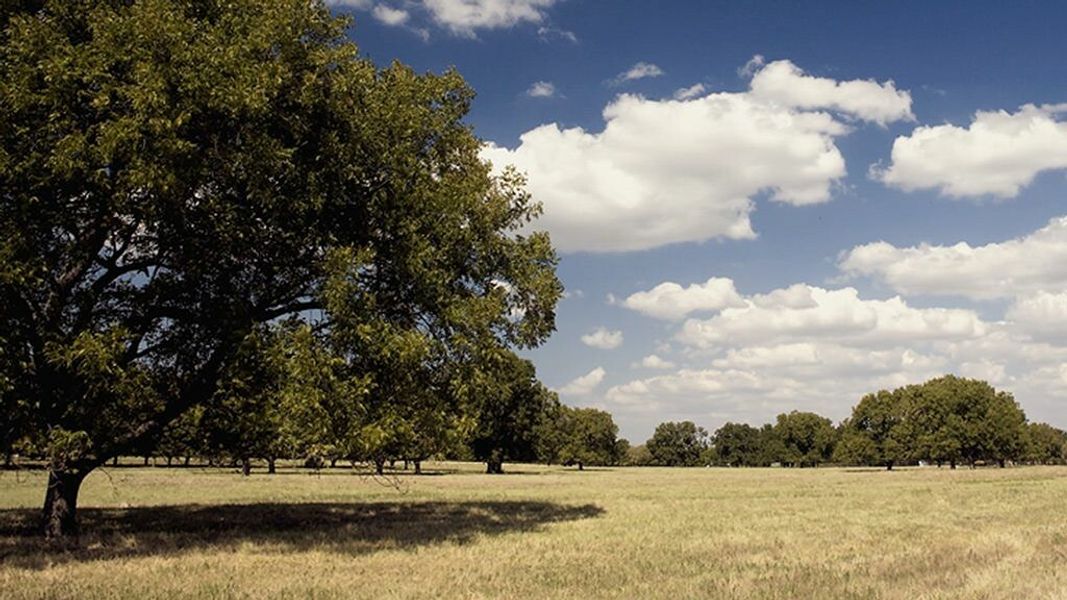 Image 7 of the Travis Ranch community in Forney, TX. Image 7 of the Travis Ranch community in Forney, TX.