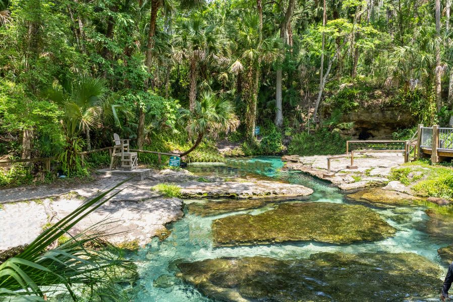 Natural surroundings and green spaces near Meadowlark Landing in Apopka, FL (Image 102).