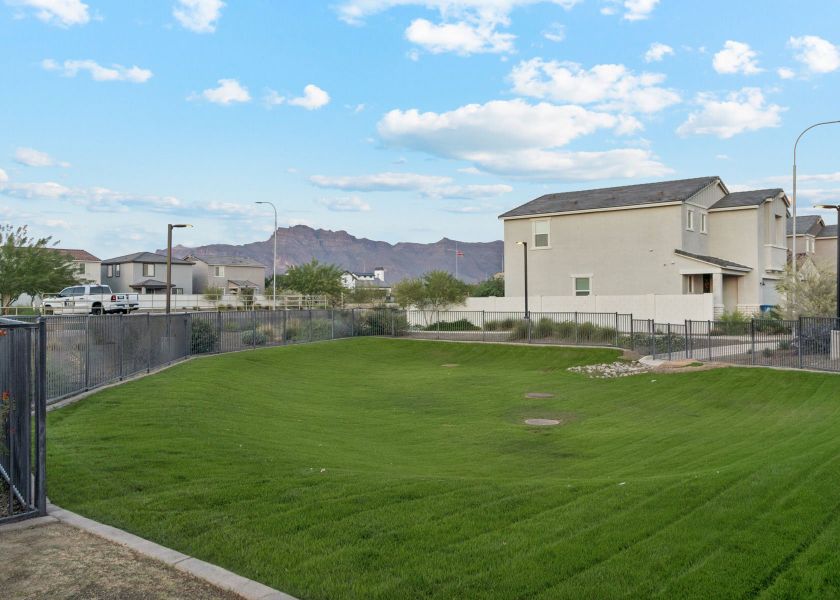 A grassy area with buildings in the background. A grassy area with buildings in the background.