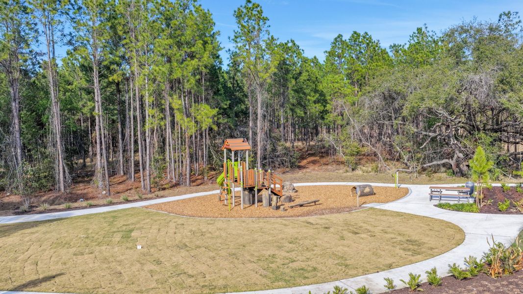 Community amenity available to residents of Avalon Woods in Winter Garden (Image 12).