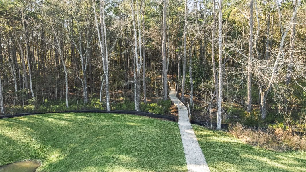 Natural surroundings and green spaces near Creekside at Andrews in Summerville, SC (Image 20).